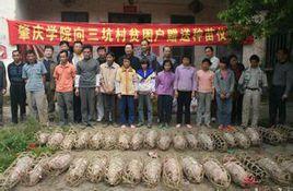 三坑村[江西會昌縣周田鎮下轄村]