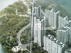 育才竹島 育才竹島