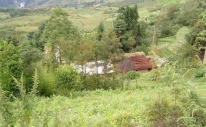 大關房自然村 大關房自然村