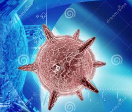 人皰疹病毒5型 人皰疹病毒5型