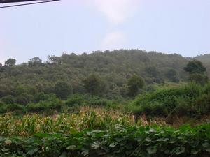 甸崗村-自然資源