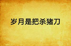 歲月是把殺豬刀[小說]