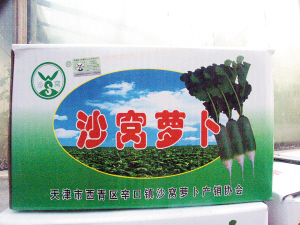 （圖）沙窩蘿蔔