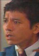 愛上大明星[日本2001年藤原紀香主演電視劇]