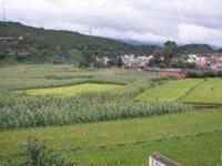 姚家沖村 姚家沖村