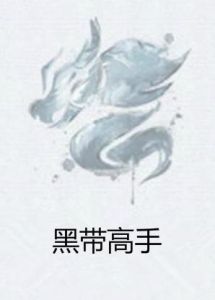 黑帶高手