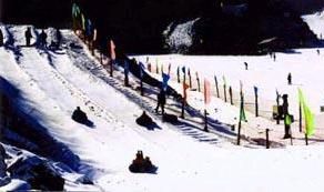 龍鳳山冰雪樂園