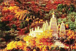 香山碧雲寺 香山碧雲寺