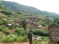 紅藤箐自然村 紅藤箐自然村