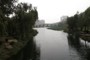 小沂河濕地公園 小沂河濕地公園