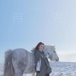 自游[胡琳演唱歌曲]