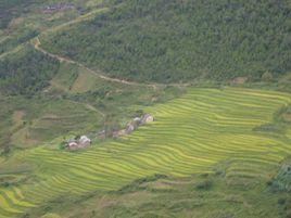 南媽自然村 南媽自然村