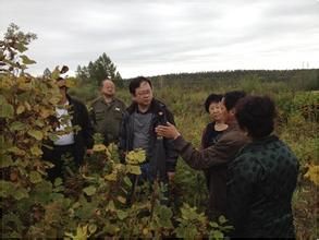 福民林場 福民林場