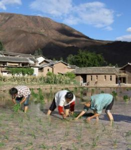 馬鞍橋村 馬鞍橋村