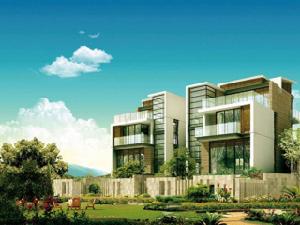 安逸花園 安逸花園