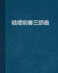 結婚前奏三部曲 結婚前奏三部曲