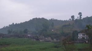 忙林自然村 忙林自然村