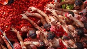 西班牙西紅柿節