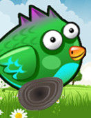 小鳥快跑 小鳥快跑