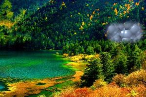 木格措藥池 木格措藥池