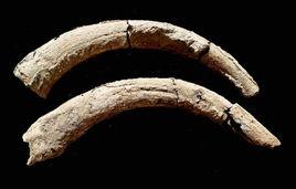 “許昌人”遺址 “許昌人”遺址