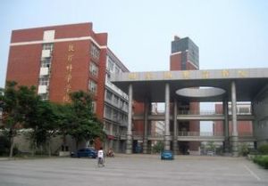 河南大學國際教育學院
