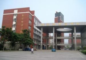 河南大學國際教育學院