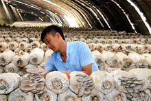 延長[陝西省延長縣]