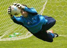 弗朗西斯科·托爾多