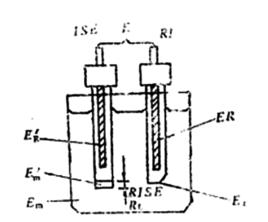 離子活度 離子活度