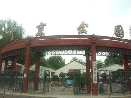 望京公園 望京公園