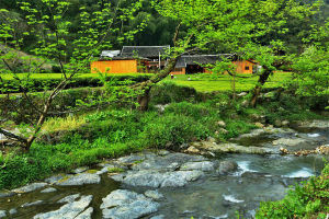 麻柳溪村 麻柳溪村