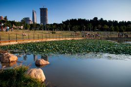 深圳市中心公園 深圳市中心公園