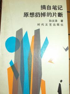 孫文濤[中國作家]