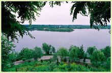 壽光國有機械林場