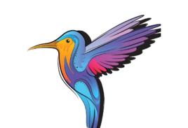 生活像一隻飛鳥 生活像一隻飛鳥