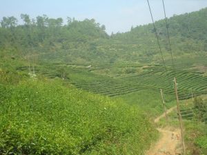 水乾河自然村 水乾河自然村