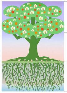 樹根理論 樹根理論