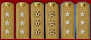 陸、海、空上將常服肩章(1955～1965)