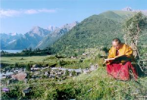 根松成林曲傑嘉才仁波且