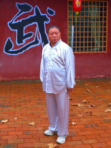 中國當代武林人物誌[丁華文]