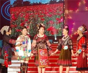 蔓蘿花組合 蔓蘿花組合