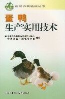 蛋鴨生產實用技術 蛋鴨生產實用技術