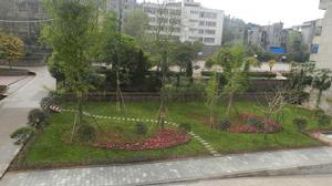 金堂縣竹篙中學