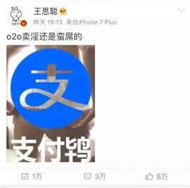 支付鴇 支付鴇
