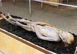 屍體腐敗 屍體腐敗