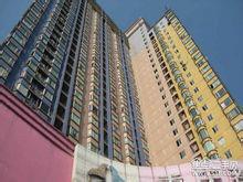 金島花園 金島花園