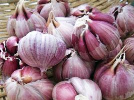 寶坻大蒜 寶坻大蒜