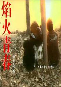 焰火青春