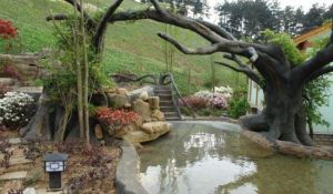 天邑森林溫泉旅遊區 天邑森林溫泉旅遊區